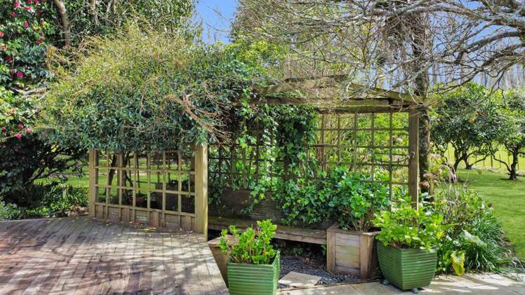 237 Thornton Road Thornton_49