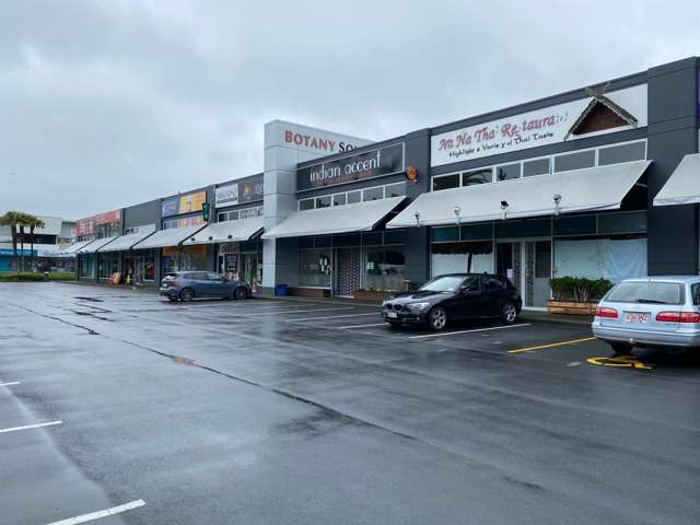 308 Te Irirangi Drive Flat Bush_2