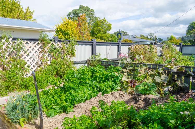 43 Michael Street Masterton_18