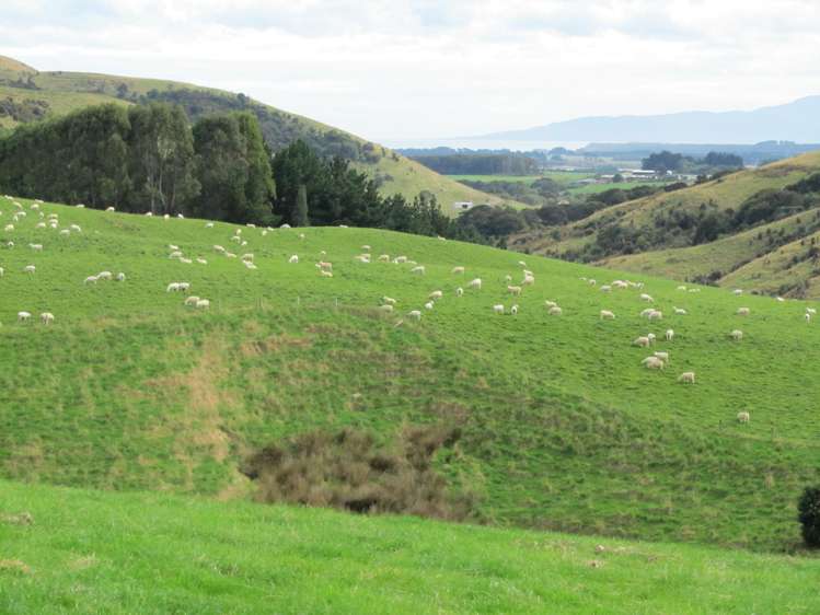 348 Happy Valley Road Tuatapere_17