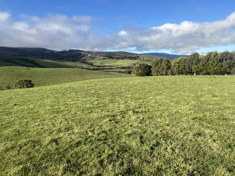 295 Stirling Road Winton Surrounds_5