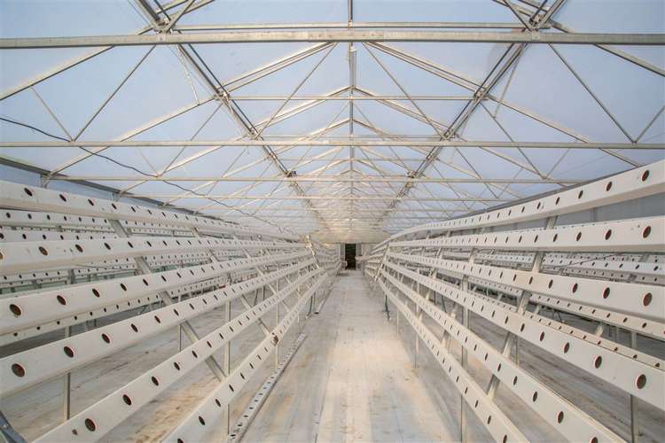 1215 Two Chain Road Swannanoa_21