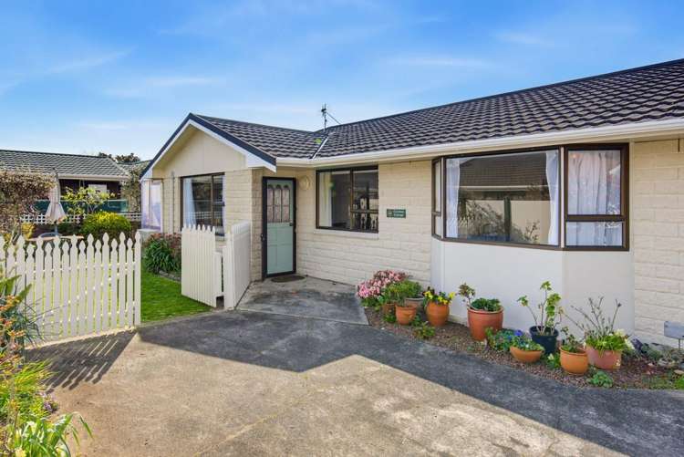 43 Belvedere Avenue_2