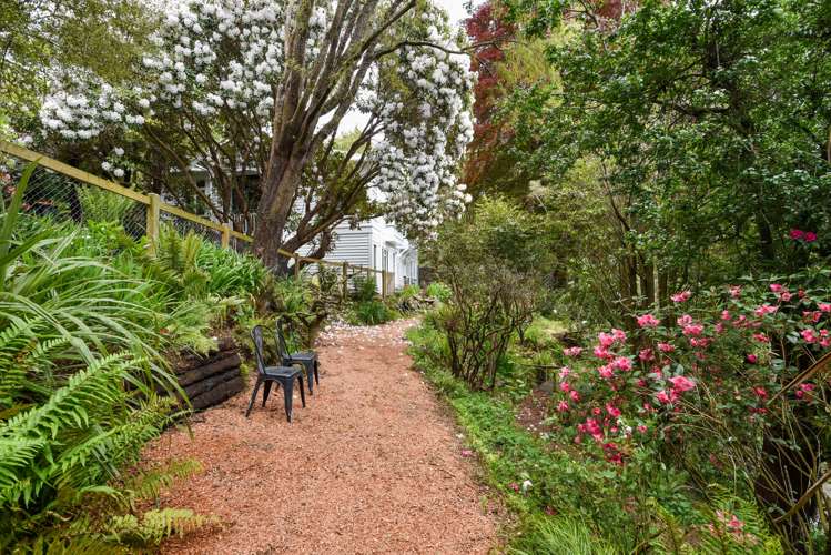 24 Braeview Crescent Maori Hill_4