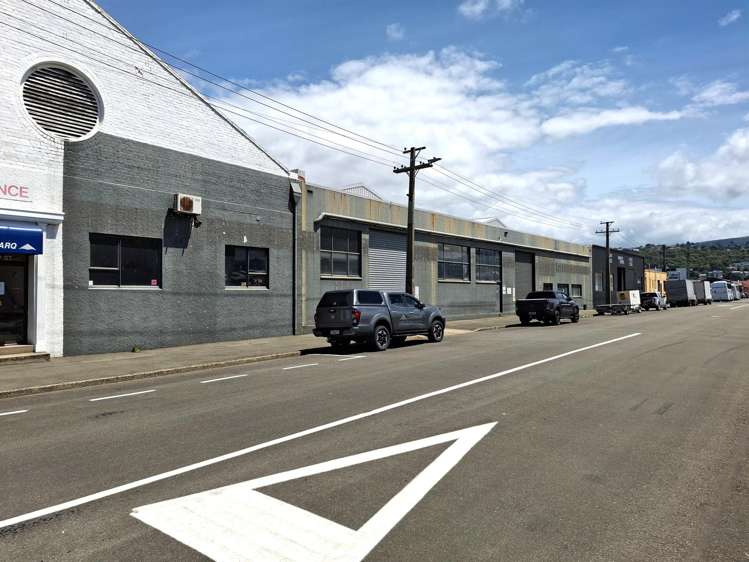 30 Bauchop Street Dunedin_9