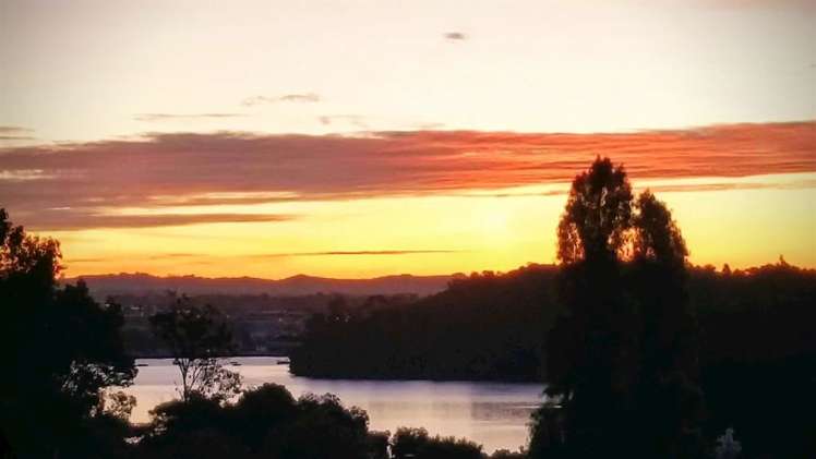 1/4 Lynn Road Bayview_9