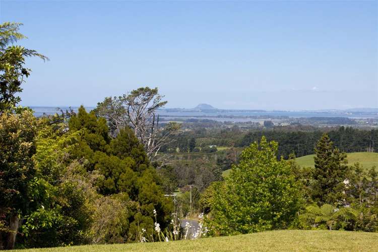 406a Busby Road Hauraki Surrounds_15