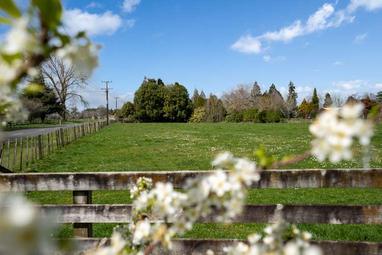 68 Lee Martin Road Tamahere_19