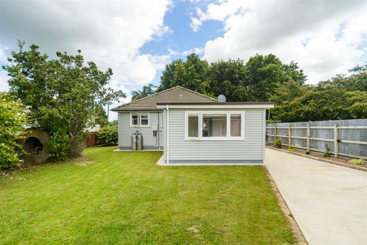 9 Bull Street Bulls_7