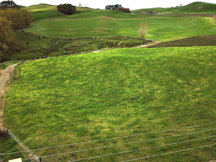 Overdale Road_5