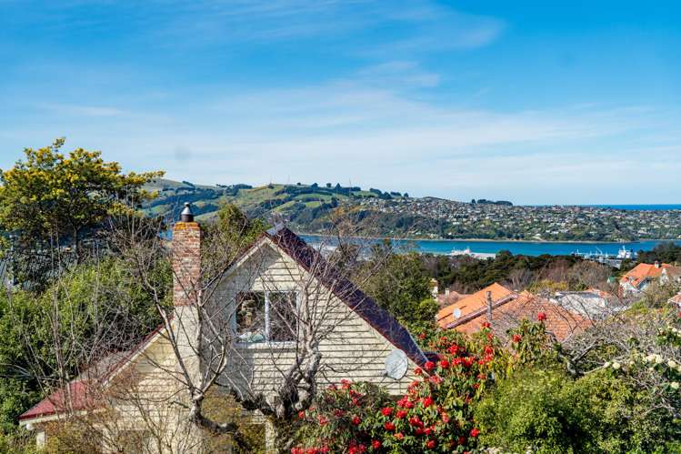 620 Highgate Maori Hill_35