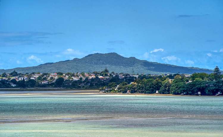 87 Princes Street Northcote Point_25