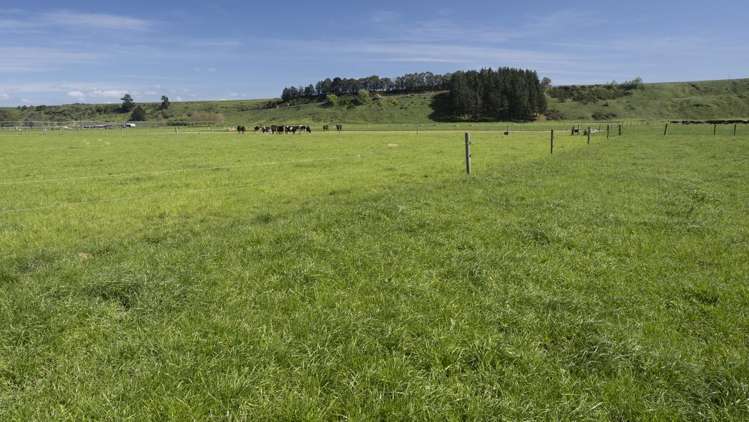 2556 State Highway 53 Martinborough_8