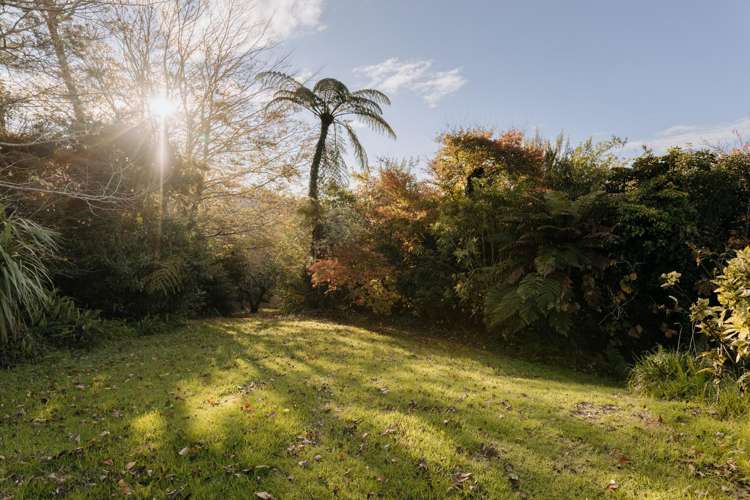 1164 Maniatutu Road Pongakawa_22