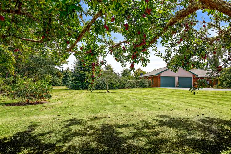 39 Oak River Drive Warkworth_6