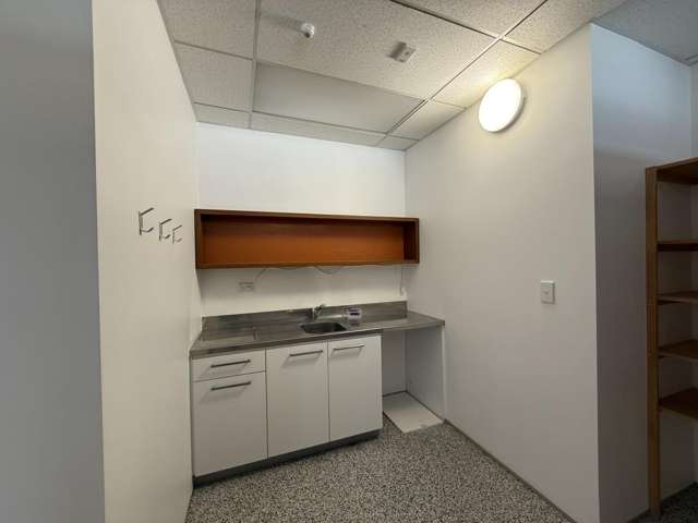 17 Maidstone Place Grey Lynn_3