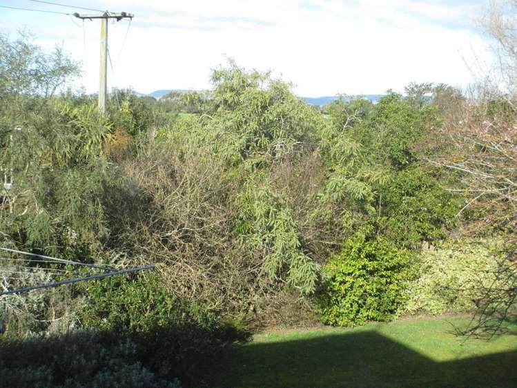 14 Wilson Road Balclutha_17