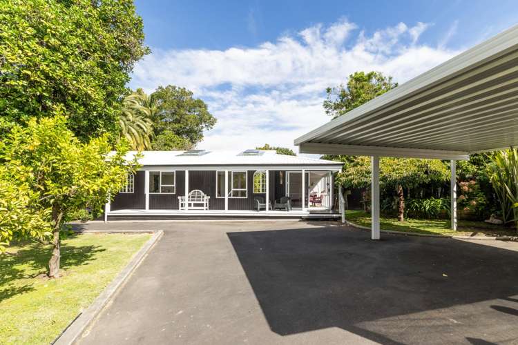 42 Chambers Street Havelock North_19