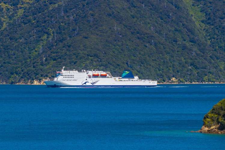 - Blackwood Bay Queen Charlotte Sound_25