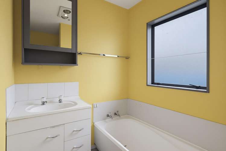 23 Douglas Street Levin_4