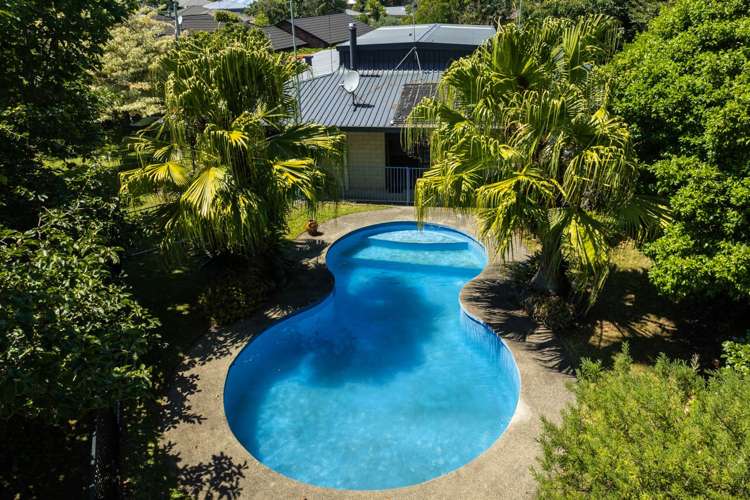 15 Blundell Place Katikati_3