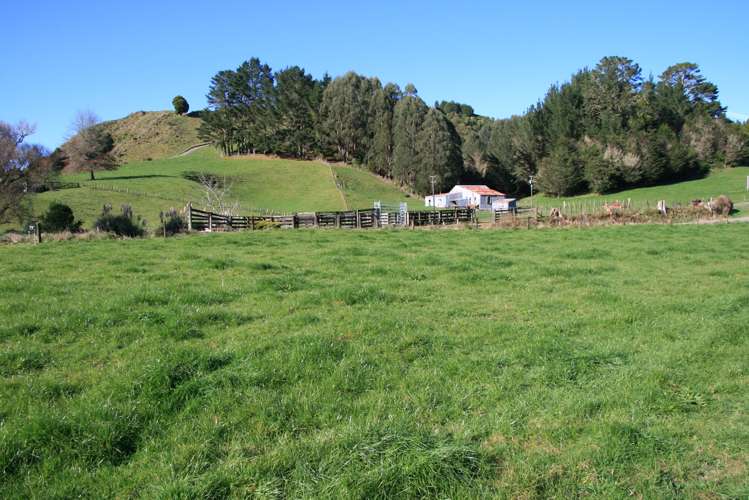 698 Mangaoapa Road Pohokura and Surrounds_12