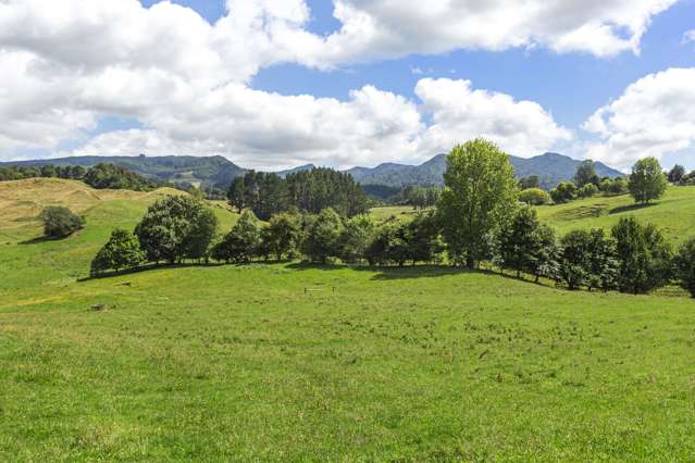 Te Tahi Road Puketotara_1