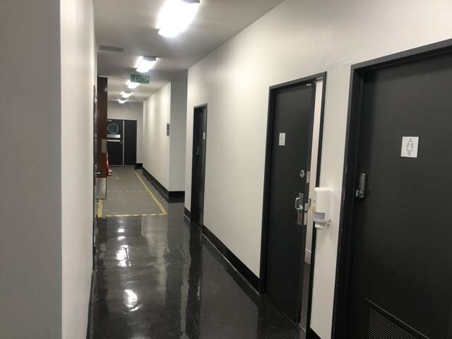 100 Beaumont Street Auckland Central_4