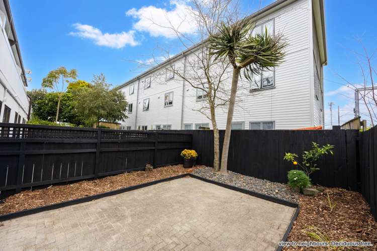 10/27 Rossmay Terrace Mt Eden_15