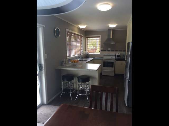 299 Thames Street Morrinsville_3