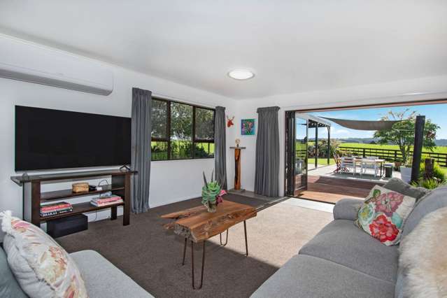 553 Puhipuhi Road Whakapara_4