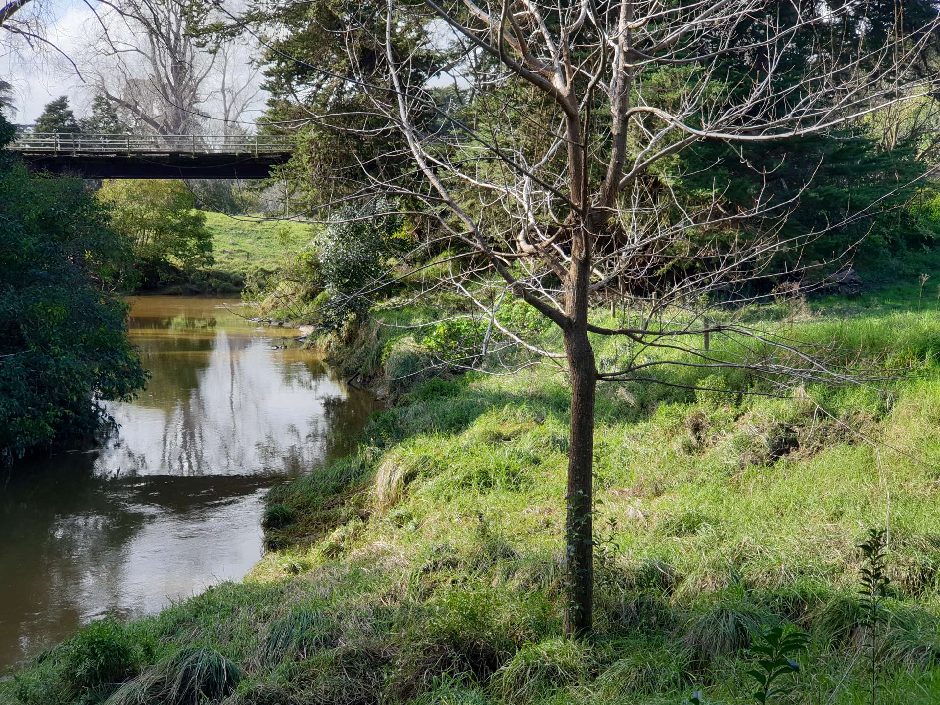 Lot 1 Huarau Road Maungaturoto_0