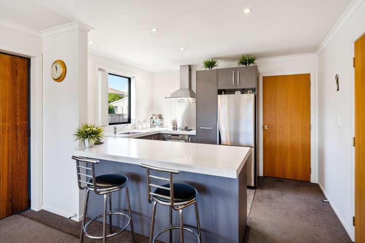 137a Macandrew Road South Dunedin_11