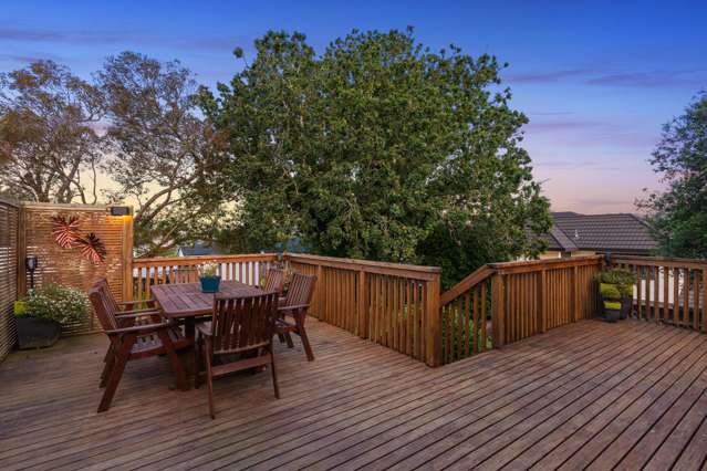 40 Kimber Hall Avenue Mount Roskill_3