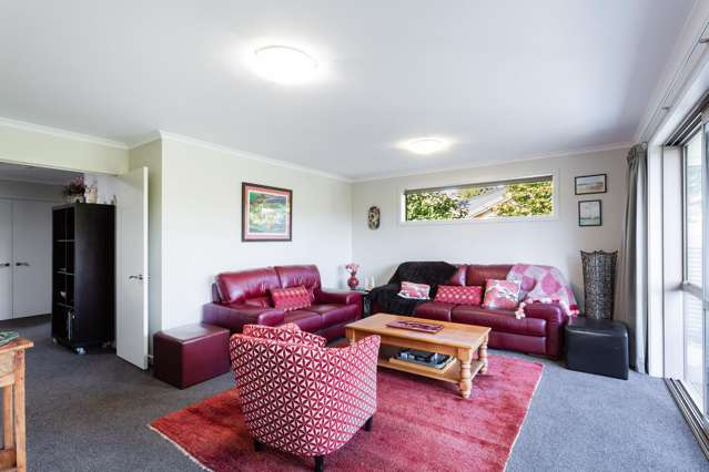 14 Magazine Road, Wingatui Mosgiel_4