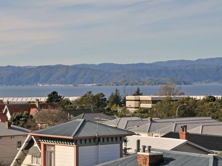 105 Grant Road Thorndon_2