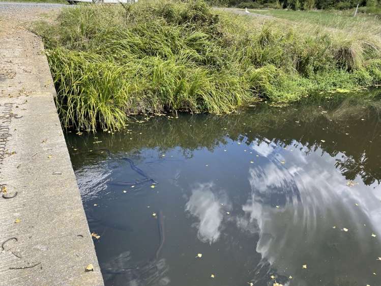 9 Karapiro Road Karapiro_17