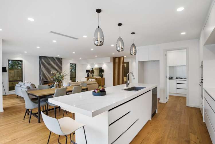 17 Dexter Avenue Mount Eden_9