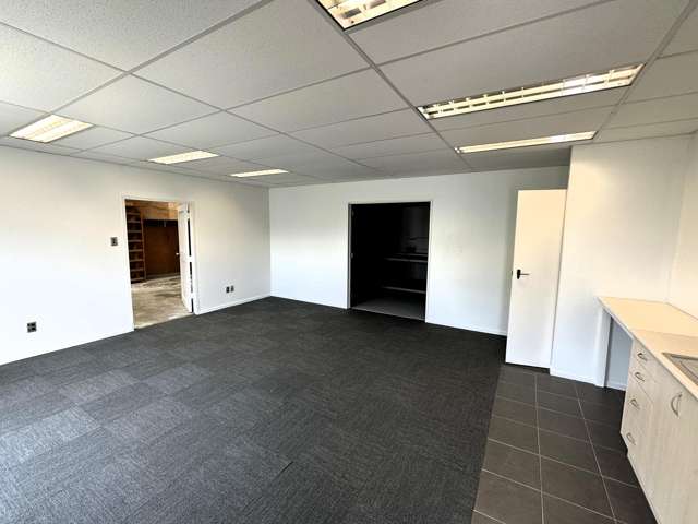 66 Wakefield Street Onekawa_1