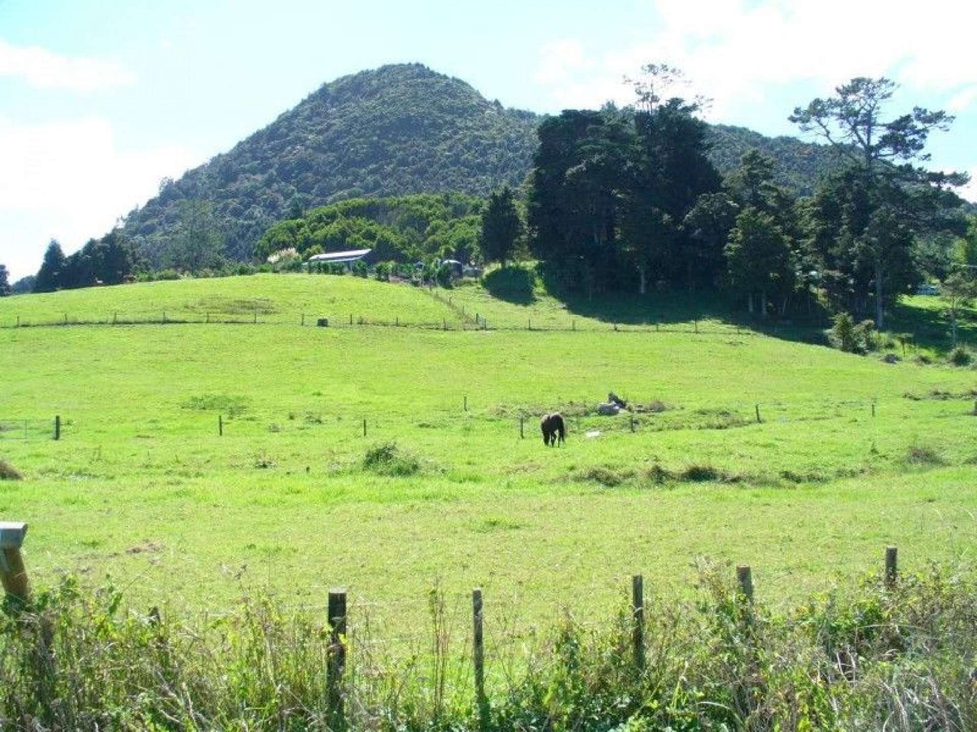 150 Jordan Valley Road Hikurangi_0