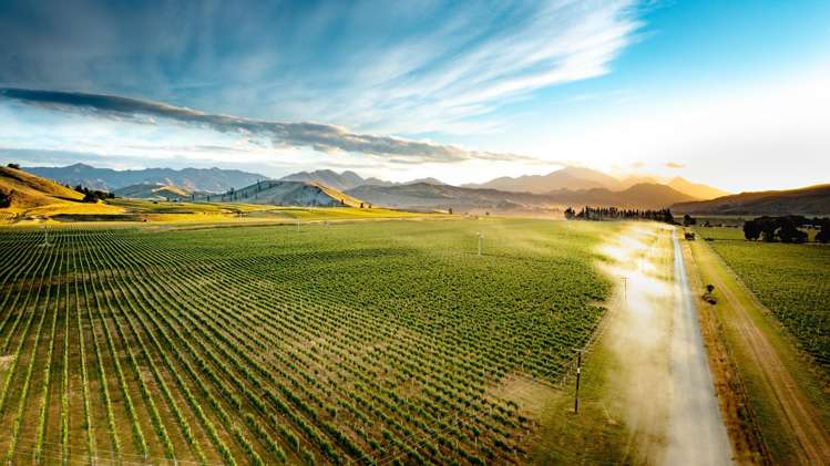 413 Upton Downs Road Seddon_5