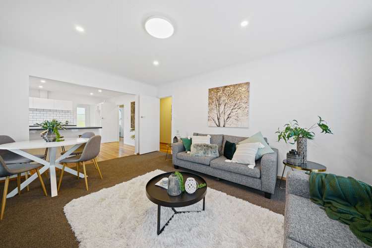 33 Karaka Street Eden Terrace_4
