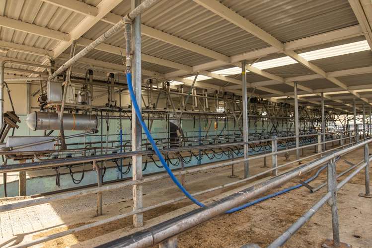 4088 Waimate Highway Morven_7