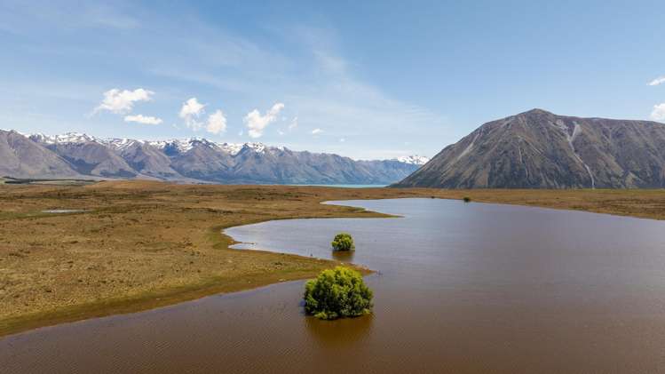 Lagoon Block, Ohau Downs Station Lake Ohau_10