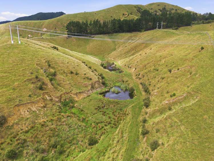 100 Heights Road Shannon_15