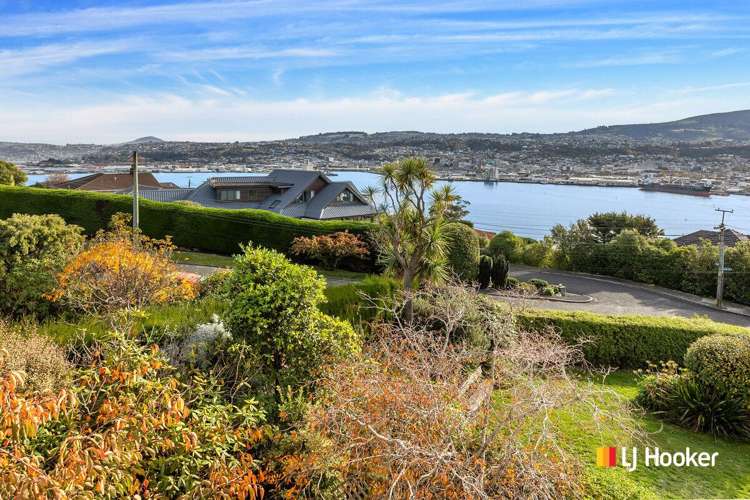 11 Dunrobin Street Waverley_19