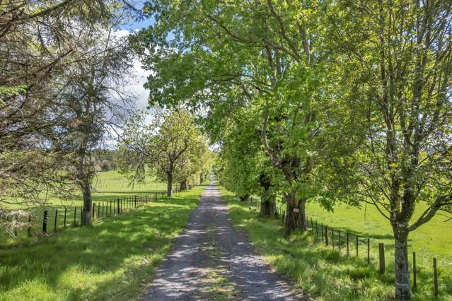 90 Mckinley Road Kokopu_1