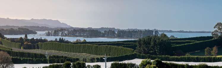 107 Ongare Point Road Katikati_7