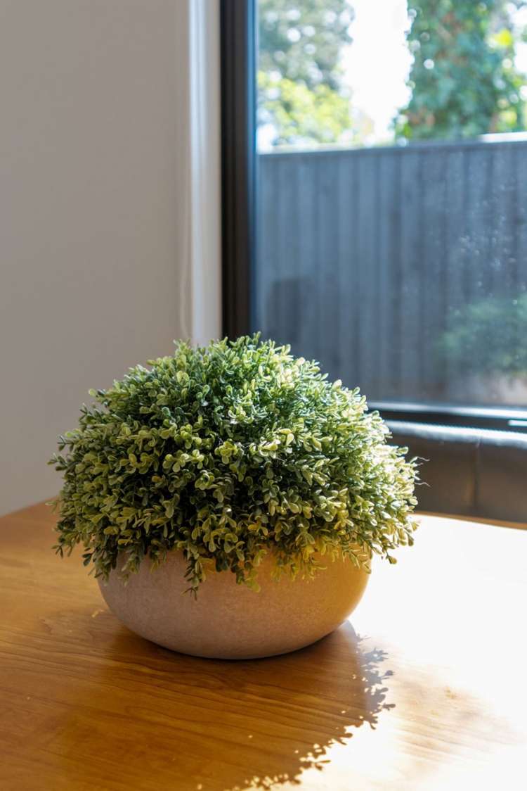 32 Collies Road Casebrook_6