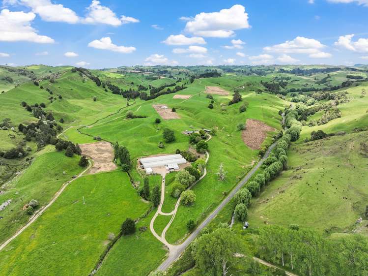 591 Turitea Road Otorohanga_27